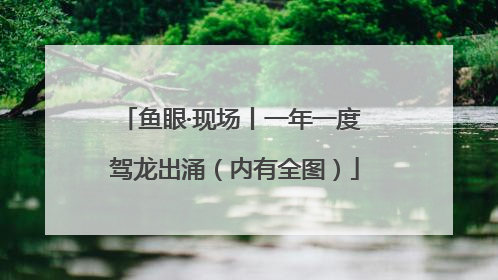 鱼眼·现场丨一年一度 驾龙出涌（内有全图）