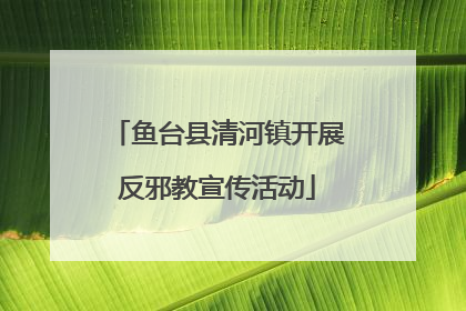 鱼台县清河镇开展反邪教宣传活动
