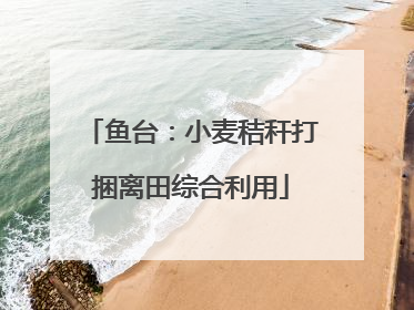鱼台：小麦秸秆打捆离田综合利用
