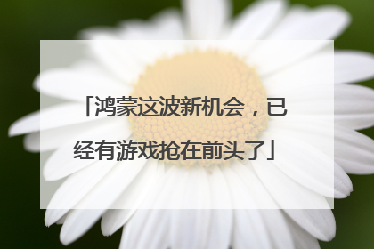 鸿蒙这波新机会，已经有游戏抢在前头了