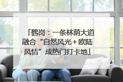 鹤岗：一条林荫大道融合“自然风光＋欧陆风情”成热门打卡地