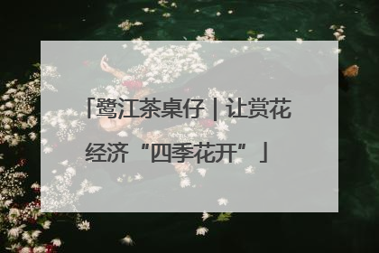 鹭江茶桌仔｜让赏花经济“四季花开”