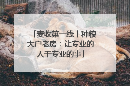 麦收第一线丨种粮大户老房：让专业的人干专业的事
