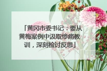 黄冈市委书记：要从黄梅案例中汲取惨痛教训，深刻检讨反思