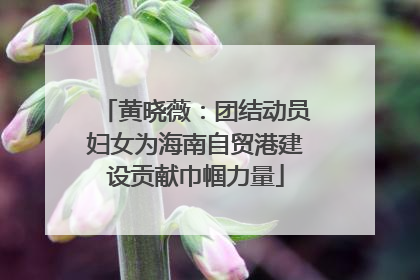 黄晓薇：团结动员妇女为海南自贸港建设贡献巾帼力量