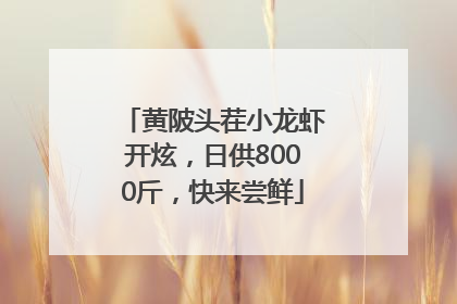 黄陂头茬小龙虾开炫，日供8000斤，快来尝鲜