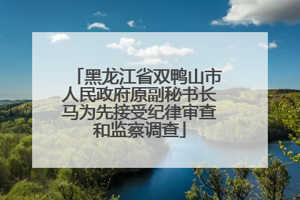 黑龙江省双鸭山市人民政府原副秘书长马为先接受纪律审查和监察调查