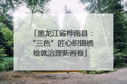 黑龙江省桦南县：“三色”匠心织锦绣 绘就治理新画卷
