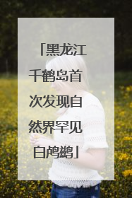 黑龙江千鹤岛首次发现自然界罕见白鸬鹚