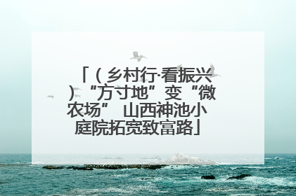 （乡村行·看振兴）“方寸地”变“微农场” 山西神池小庭院拓宽致富路