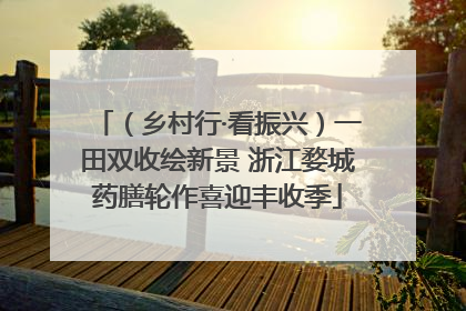 （乡村行·看振兴）一田双收绘新景 浙江婺城药膳轮作喜迎丰收季