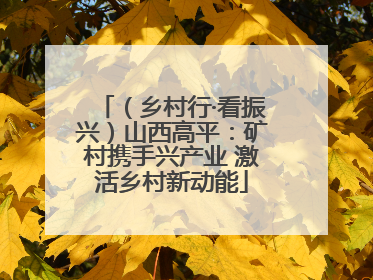 （乡村行·看振兴）山西高平：矿村携手兴产业 激活乡村新动能