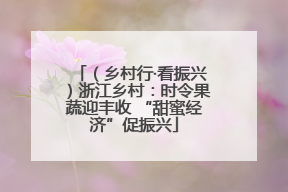 （乡村行·看振兴）浙江乡村：时令果蔬迎丰收 “甜蜜经济”促振兴