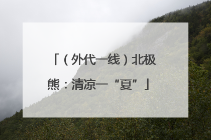 （外代一线）北极熊：清凉一“夏”