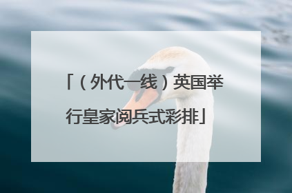 （外代一线）英国举行皇家阅兵式彩排