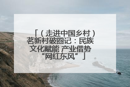 （走进中国乡村）茗新村破圈记：民族文化赋能 产业借势 “网红东风”