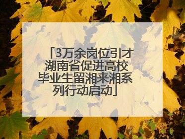 3万余岗位引才 湖南省促进高校毕业生留湘来湘系列行动启动