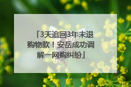 3天追回3年未退购物款！安岳成功调解一网购纠纷