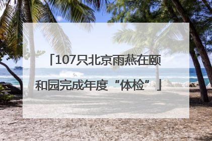 107只北京雨燕在颐和园完成年度“体检”