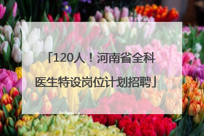 120人！河南省全科医生特设岗位计划招聘