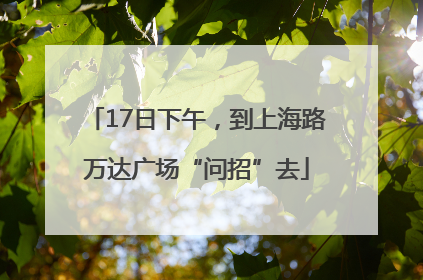 17日下午，到上海路万达广场“问招”去