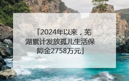 2024年以来，芜湖累计发放孤儿生活保障金2758万元