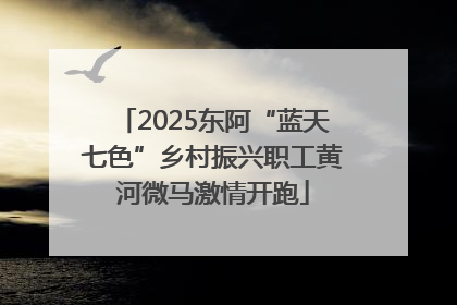 2025东阿“蓝天七色”乡村振兴职工黄河微马激情开跑