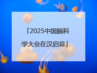 2025中国脑科学大会在汉启幕