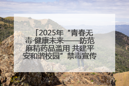 2025年“青春无毒·健康未来——防范麻精药品滥用 共建平安和谐校园”禁毒宣传专题活动在咸宁举行