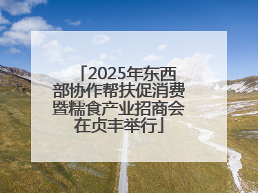 2025年东西部协作帮扶促消费暨糯食产业招商会在贞丰举行