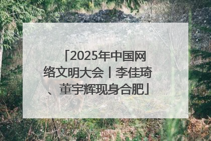 2025年中国网络文明大会丨李佳琦、董宇辉现身合肥