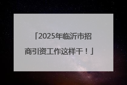 2025年临沂市招商引资工作这样干！