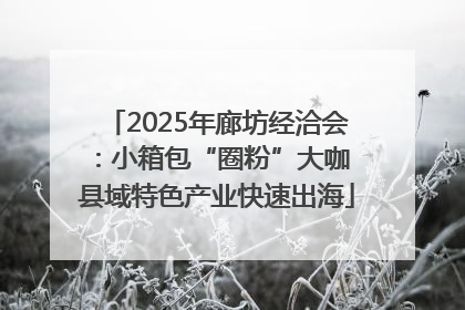 2025年廊坊经洽会：小箱包“圈粉”大咖 县域特色产业快速出海