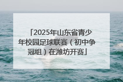 2025年山东省青少年校园足球联赛（初中争冠组）在潍坊开赛