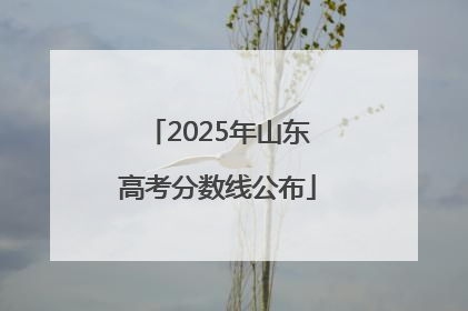 2025年山东高考分数线公布