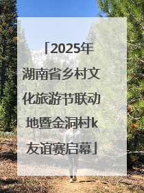 2025年湖南省乡村文化旅游节联动地暨金洞村k友谊赛启幕
