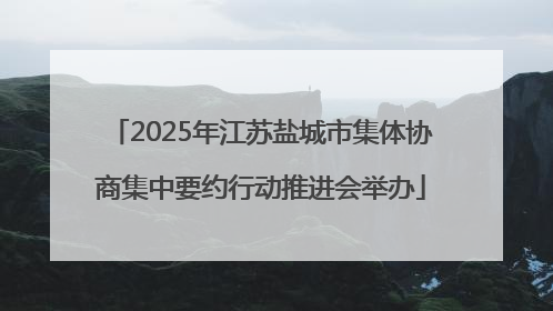 2025年江苏盐城市集体协商集中要约行动推进会举办