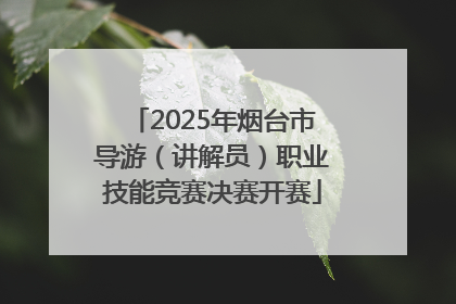 2025年烟台市导游（讲解员）职业技能竞赛决赛开赛