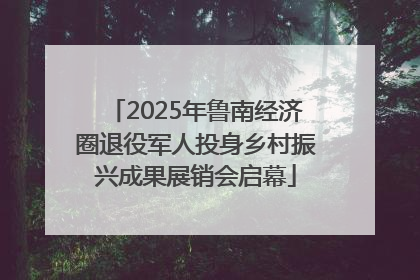 2025年鲁南经济圈退役军人投身乡村振兴成果展销会启幕