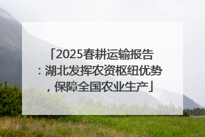 2025春耕运输报告：湖北发挥农资枢纽优势，保障全国农业生产