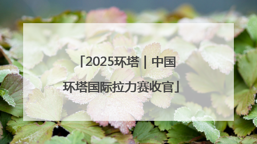 2025环塔｜中国环塔国际拉力赛收官