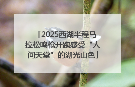 2025西湖半程马拉松鸣枪开跑感受“人间天堂”的湖光山色