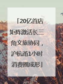 20亿首店矩阵激活长三角文旅协同，沪杭甬1小时消费圈成形