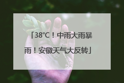 38℃！中雨大雨暴雨！安徽天气大反转