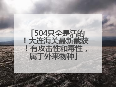 504只全是活的！大连海关最新截获！有攻击性和毒性，属于外来物种