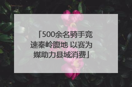 500余名骑手竞速秦岭腹地 以赛为媒助力县域消费