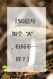 5G信号加个“A”，有何不一样？