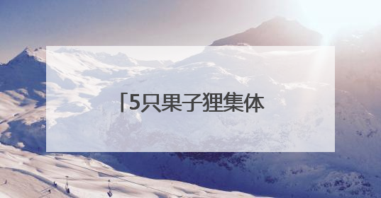 5只果子狸集体亮相湖南南山国家公园候选区