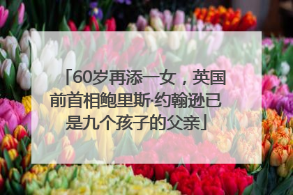60岁再添一女，英国前首相鲍里斯·约翰逊已是九个孩子的父亲