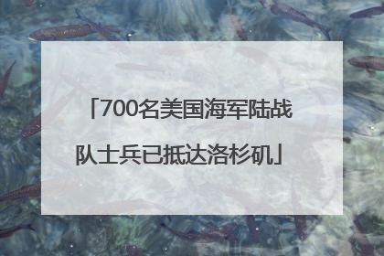 700名美国海军陆战队士兵已抵达洛杉矶